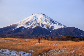 Fototapeta premium 梨ヶ原から朝の富士山
