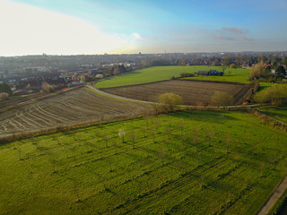 .Aerial view of a city and a park