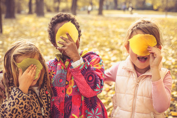 Hiding behind fallen leaves.