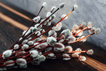 Spring background of willow twigs on a wooden table rustic style
