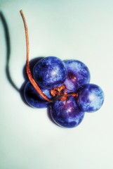 Grapes closeup on white background. Design elements.