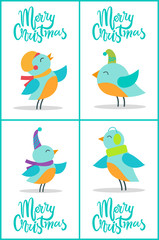 Merry Christmas Birds Set Vector Illustration