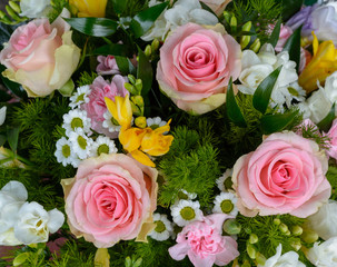 bouquet of pink roses and Chamomile