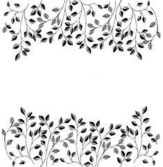 Растения и листья. Графическая иллюстрация с травами. Растения