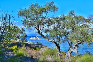 Greece,island Paxos-coast near the town of Gaios