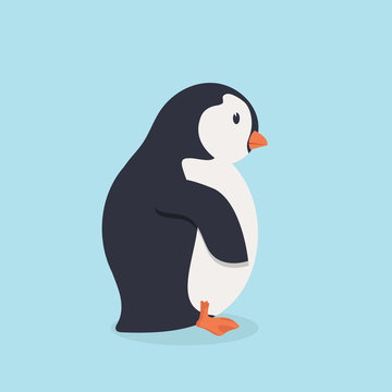 Penguin bird  cartoon vector