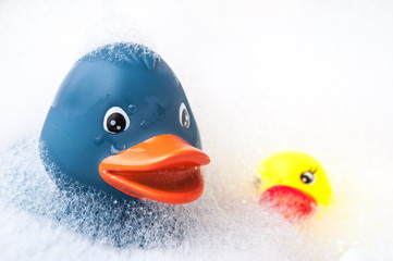 closeup of blue and yellow rubber duck toys with moss in bath