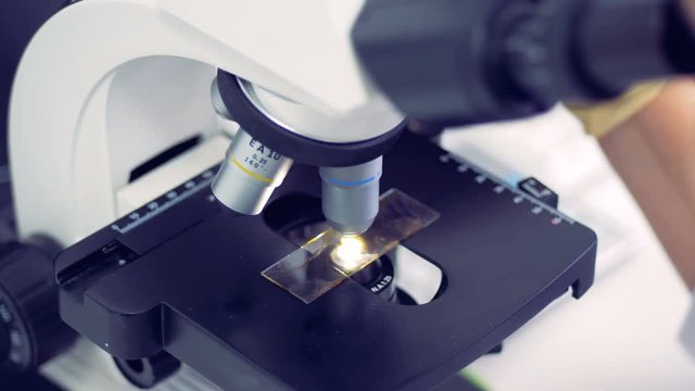 Top view of a four-ocular microscope during working process
