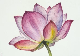 Cercles muraux fleur de lotus Aquarelle de fleur de lotus