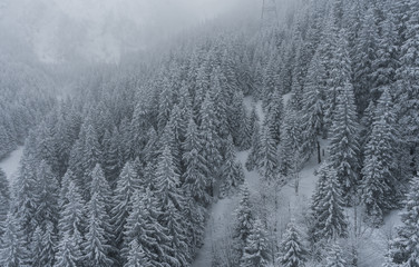Aerial view of snowy forest in rumania