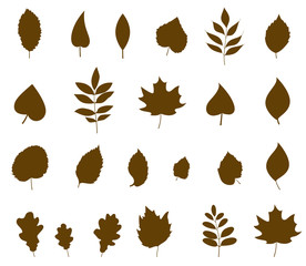 Leaves icon different shapes in modern flat style.