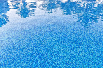 Palm tree reflection in water of swimming pool