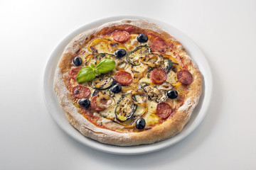 Pizza mozzarella tomato salami and grilled vegetables