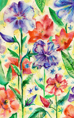 Fototapeta na wymiar Watercolor floral background. Red and blue flowers