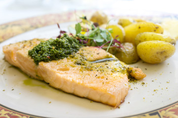 Grilled Salmon with fresh lettuce and mash potatoes