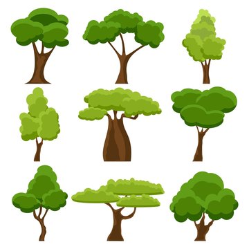 Set of flat stylized trees. Cartoon garden green tree. Nature environment organic forest and park. Spring or summer trees. Vector illustration