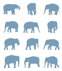 Silhouettes of elephants.