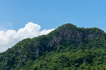 Fototapeta premium Green mountain with blue sky.
