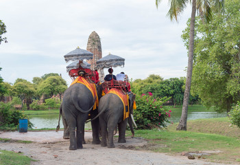 タイ・アユタヤ・遺跡・象・景色
