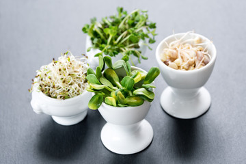 Different types of micro greens in white bowls for sauces on slate background. Fresh garden produce organically grown, symbol of health and vitamins. Microgreens ready for cooking. Free copyspace