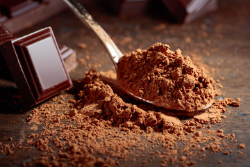 Broken  chocolate pieces and cocoa powder .