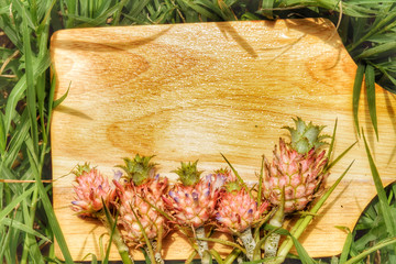 flower wooden backdrop background