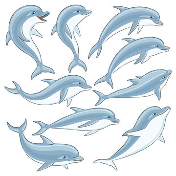Set of blue dolphins on a white background.