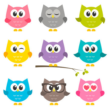 Set of funny owls isolated on white