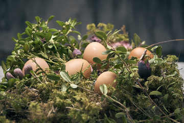 Eastern egg composition, moss, wood natural