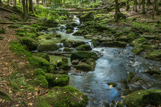 Wildbach Kleine Ohe im Bayerischen Wald