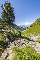 Fototapeta na wymiar Trail from mountain Rippetegg to lake Untersee/Spiegelsee with Dachstein