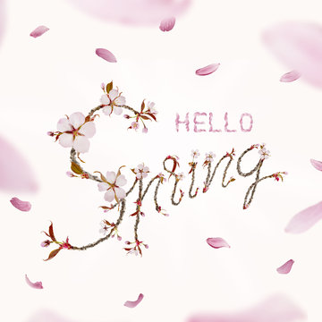 Hello Spring Text Isolated on Pink