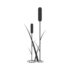 Silhouette of bulrush with leaves.