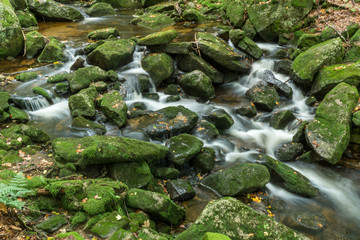 Wildbach Kleine Ohe im Bayerischen Wald