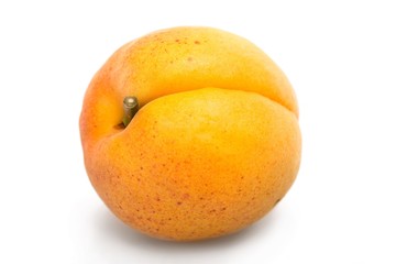 Orange fresh Apricots