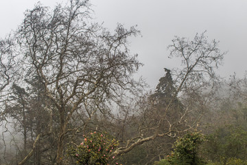 Pena Palace, Sintra, Portugal