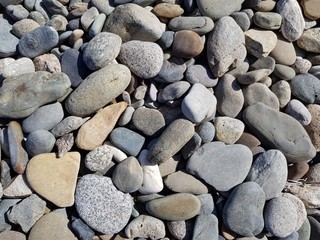 Coast of the Black Sea in Sochi.