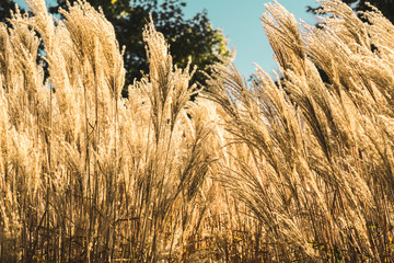 Natural beauty all around us