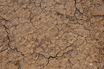 Brown dry soil or cracked ground texture background.