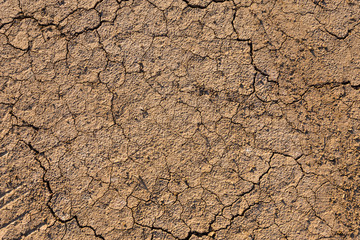 Brown dry soil or cracked ground texture background.