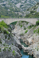Fototapeta premium L'ancien pont sur les gorges de l'Hérault