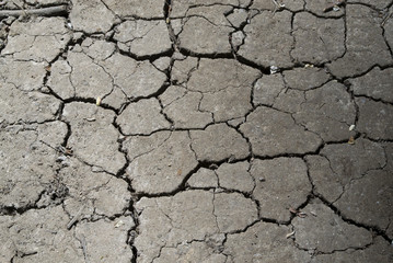 the land dried up with cracks, gray and similar to a drought