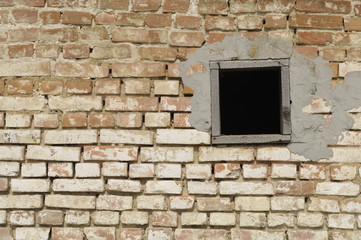 Fototapeta premium Texture brick wall