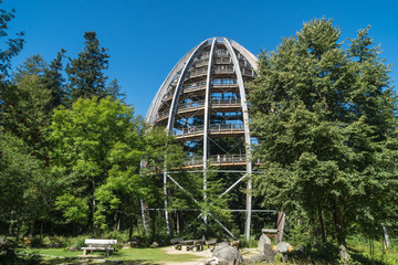 Baumturm im Nationalparkzentrum Lusen im Bayerischen Wald © Eberhard Spaeth