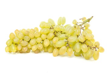 White Grape Cluster