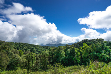 Fototapeta premium natural view of landscape hill with green mountain and blue sky