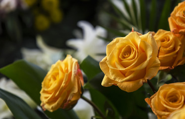 Ramo de rosas © Sara Valle