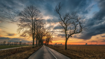 Naklejka premium Dem Sonnenuntergang entgegen 