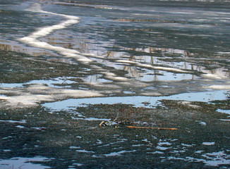 Water surface with melting ice