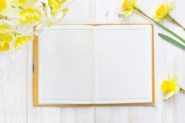Top view Open notebook with blank pages with Yellow Daffodils on Light Wooden Background. Still life, business, office supplies or education concept.